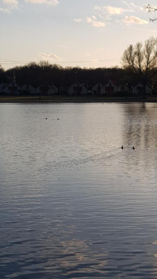 Vakantiewoning Maas En Waal Ewijk Luaran gambar